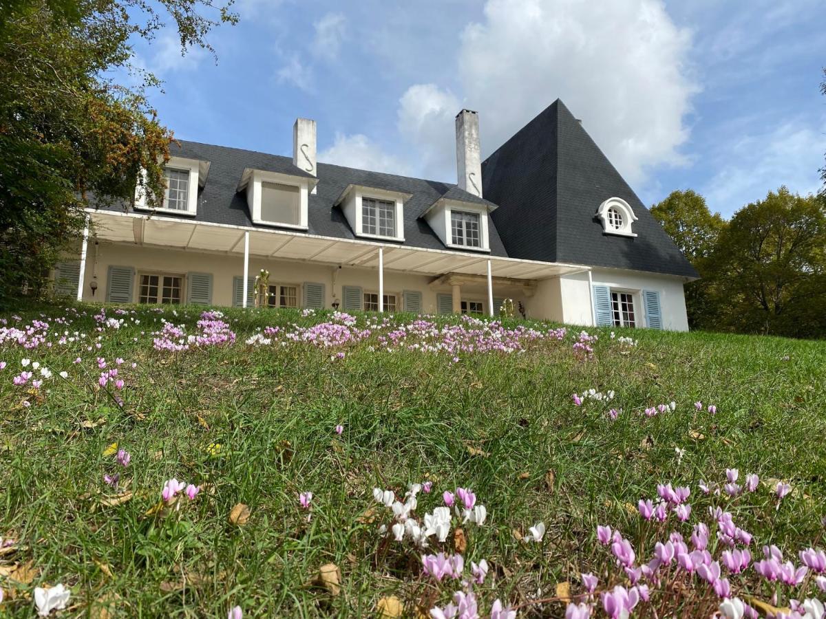 Manoir Et Appartements Avec Piscine Au Domaine De Bize Mirepoix Mirepoix  Ngoại thất bức ảnh